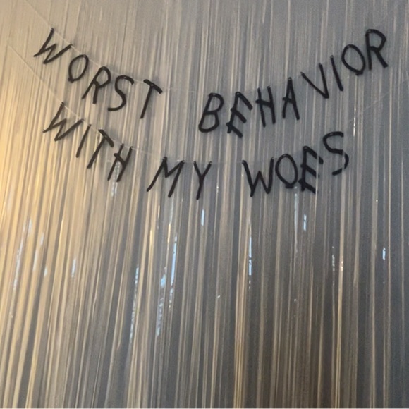 Drake Worst Behavior With My Woes Bachelorette Party Banner Decor - Picture 5 of 5
